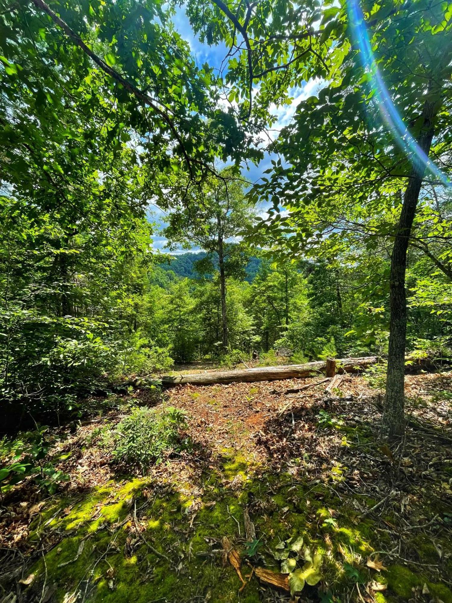 Tiny House, Wifi,Hot Tub,Secluded Vila Cosby Exterior foto