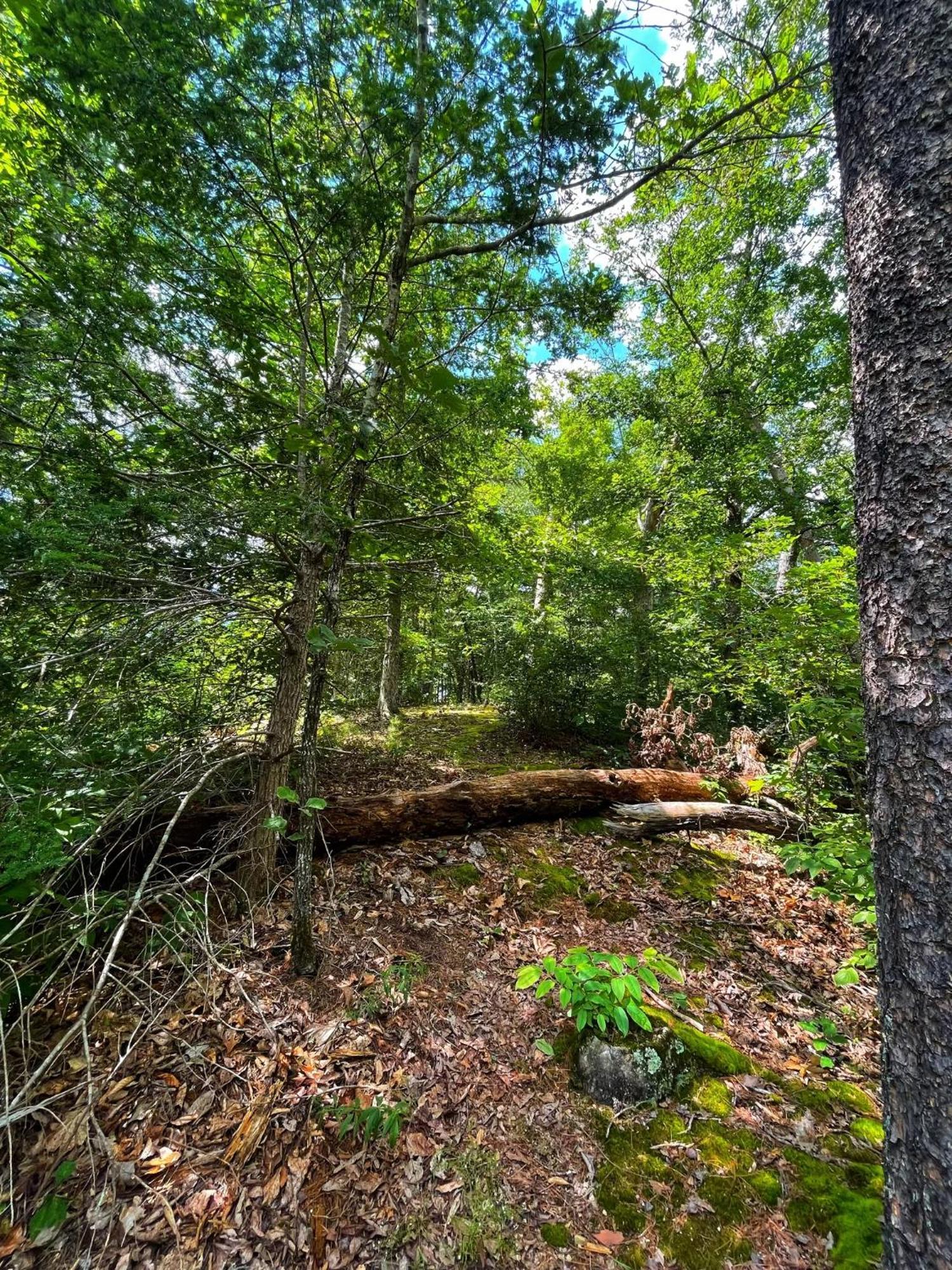 Tiny House, Wifi,Hot Tub,Secluded Vila Cosby Exterior foto