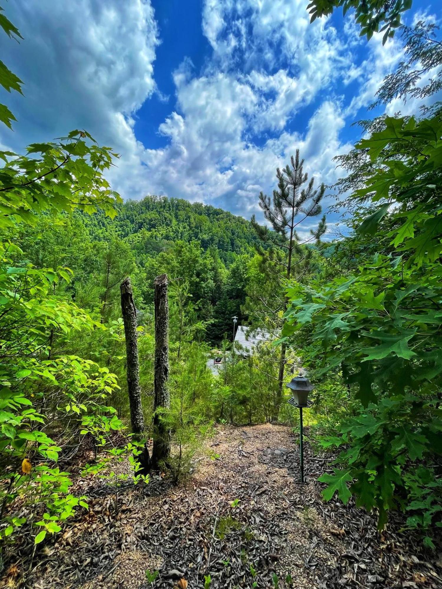Tiny House, Wifi,Hot Tub,Secluded Vila Cosby Exterior foto