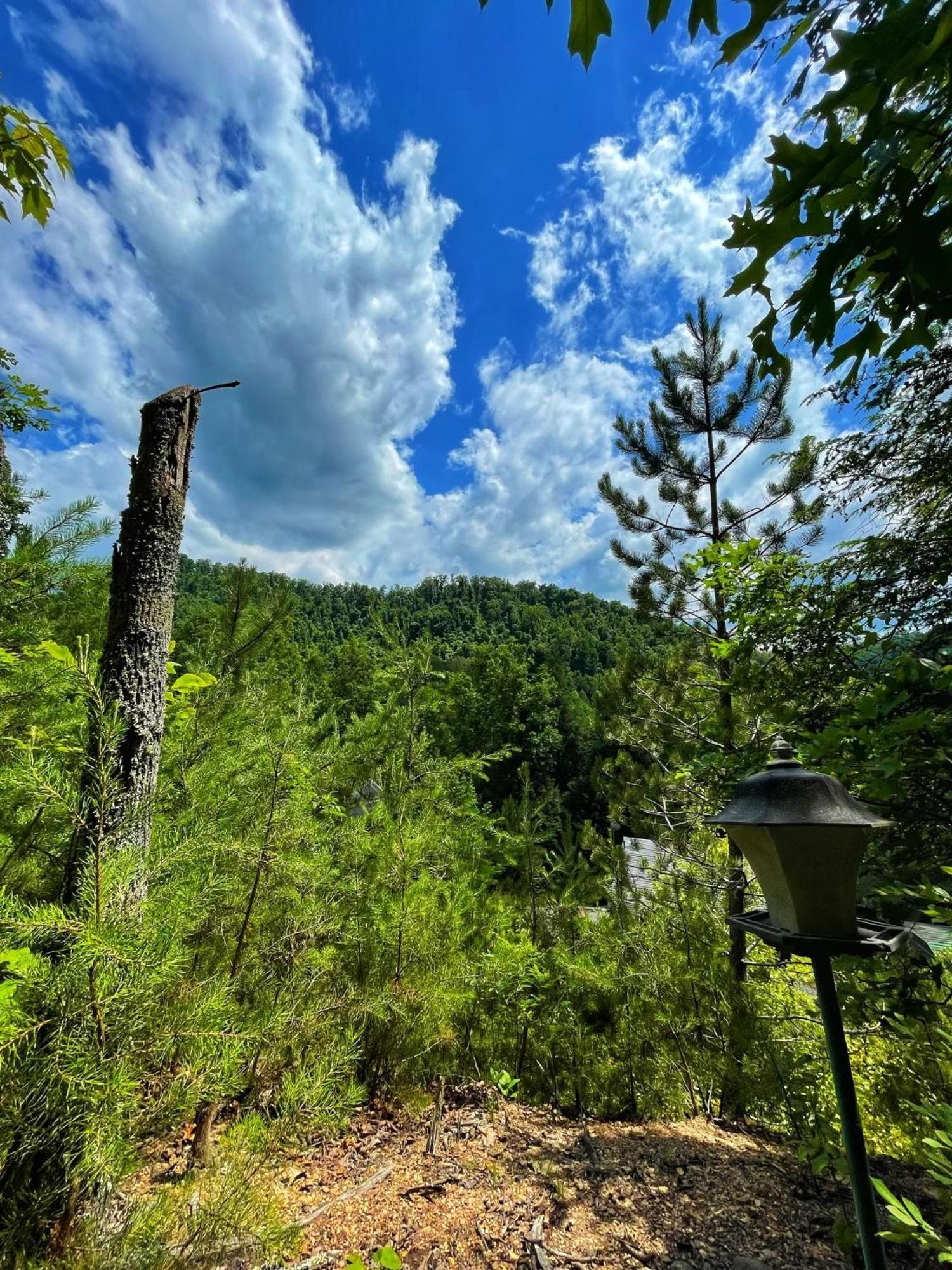 Tiny House, Wifi,Hot Tub,Secluded Vila Cosby Exterior foto